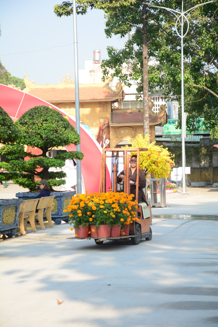 Series photos of activities preparing for the New Year 2020