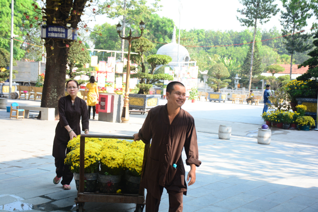 Series photos of activities preparing for the New Year 2020