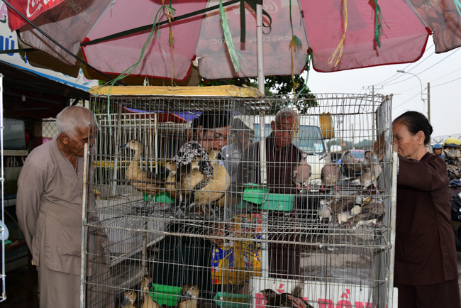 Phóng sanh tại Củ Chi