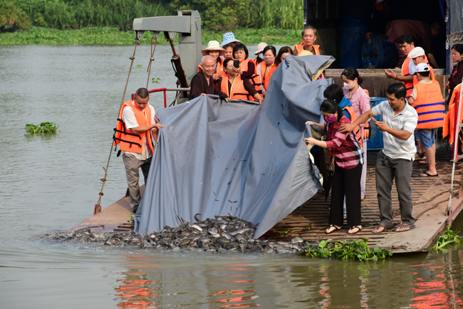 Phóng sanh tại Củ Chi