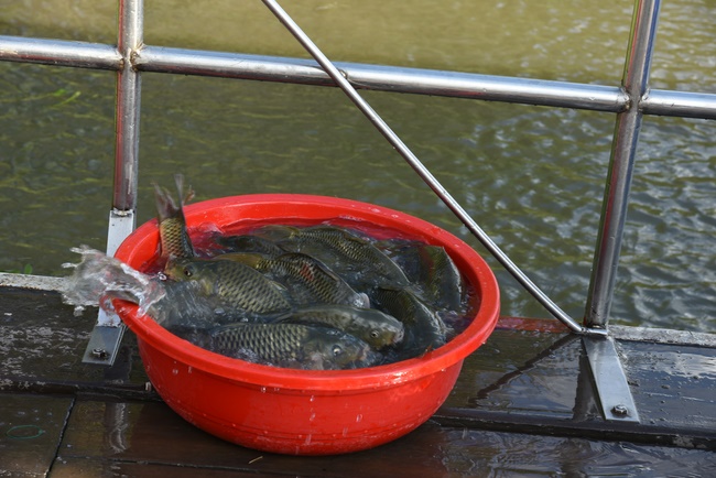 The rite praying for rebirth to Nun Ven. Thich Nu Nhuan Nha