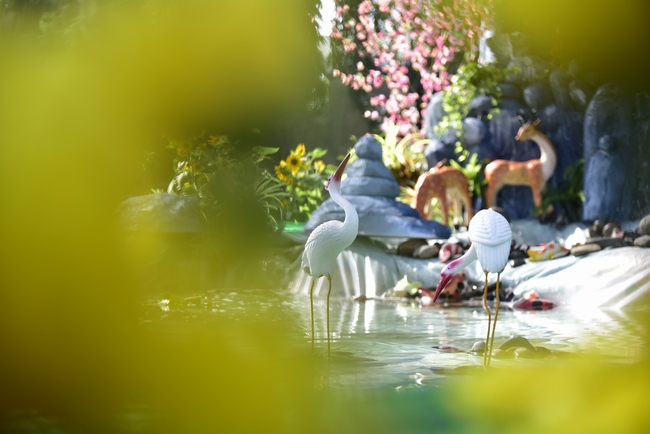 Series photos of activities preparing for the New Year 2020