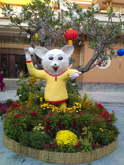 Series photos of activities preparing for the New Year 2020