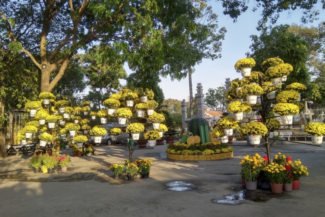 Series photos of activities preparing for the New Year 2020