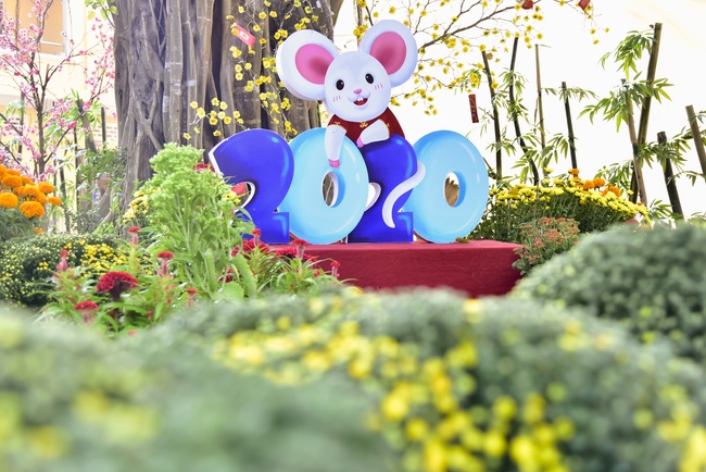 Series photos of activities preparing for the New Year 2020