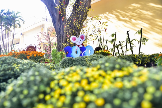 Series photos of activities preparing for the New Year 2020