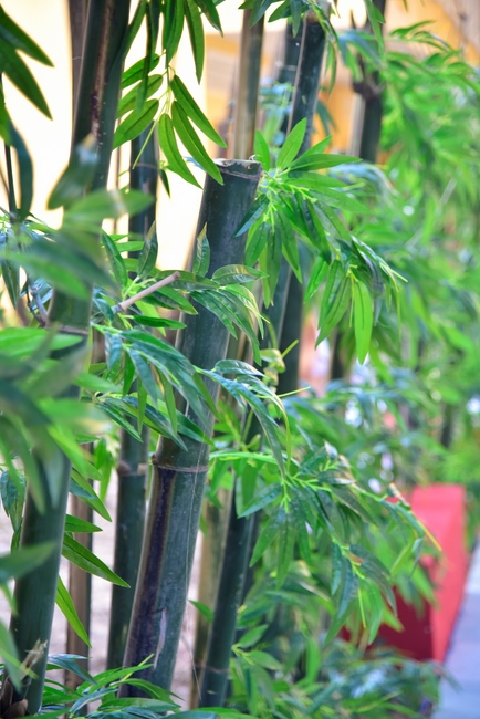 Series photos of activities preparing for the New Year 2020