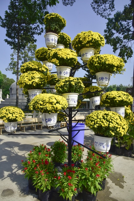 Series photos of activities preparing for the New Year 2020