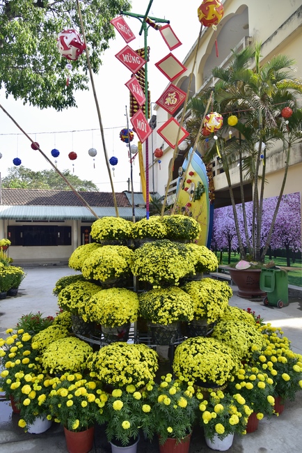 Series photos of activities preparing for the New Year 2020