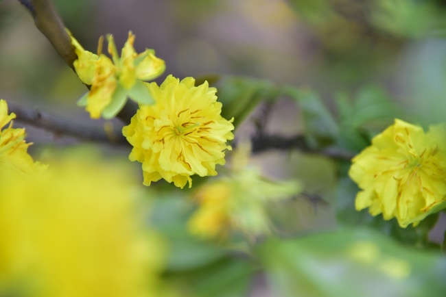 Series photos of activities preparing for the New Year 2020