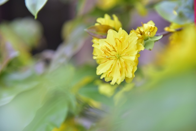 Series photos of activities preparing for the New Year 2020