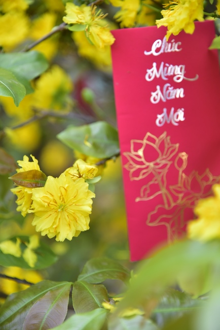 Series photos of activities preparing for the New Year 2020