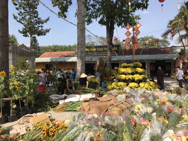 The New Year’s Eve of rat year – Welcome in 2020