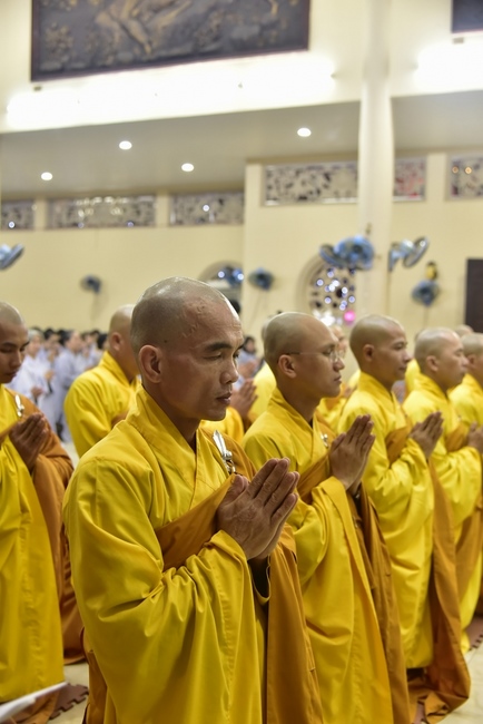 The New Year’s Eve of rat year – Welcome in 2020