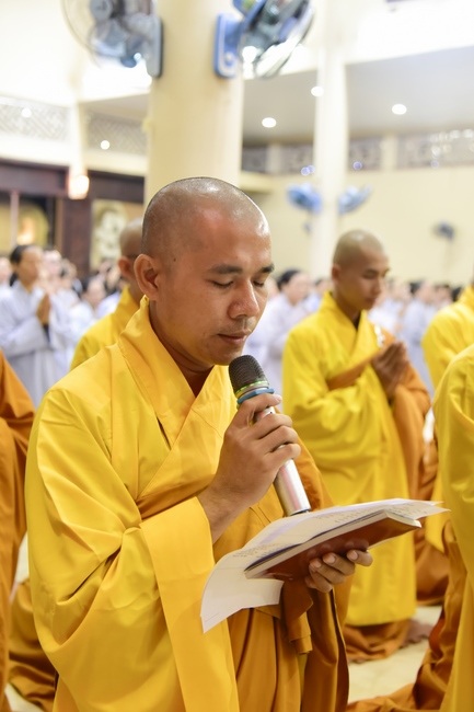 The New Year’s Eve of rat year – Welcome in 2020