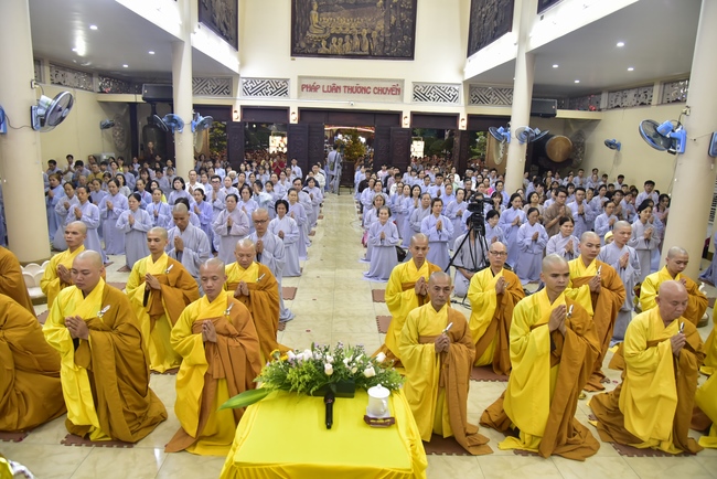 The New Year’s Eve of rat year – Welcome in 2020