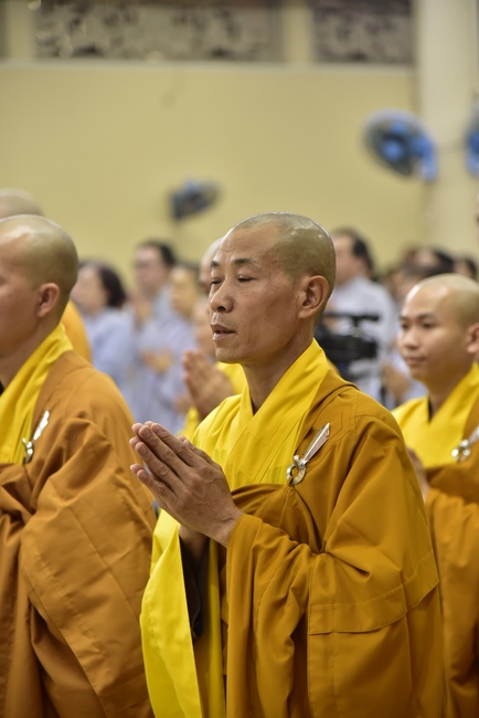 The New Year’s Eve of rat year – Welcome in 2020