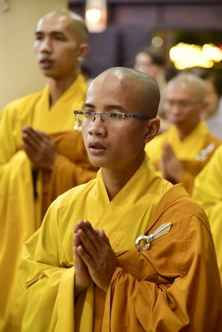 The New Year’s Eve of rat year – Welcome in 2020