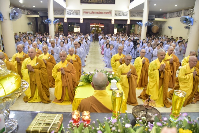 The New Year’s Eve of rat year – Welcome in 2020