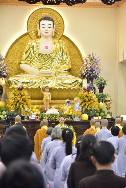 The New Year’s Eve of rat year – Welcome in 2020