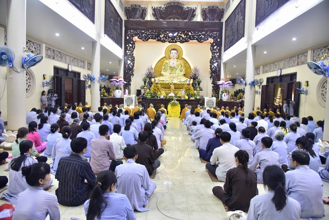 The New Year’s Eve of rat year – Welcome in 2020