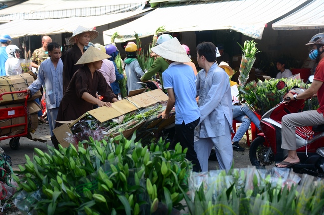 The New Year’s Eve of rat year – Welcome in 2020