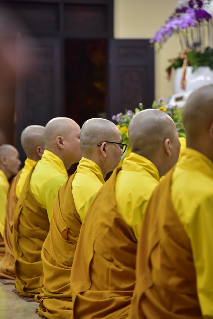 The New Year’s Eve of rat year – Welcome in 2020