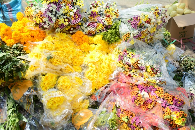 The New Year’s Eve of rat year – Welcome in 2020