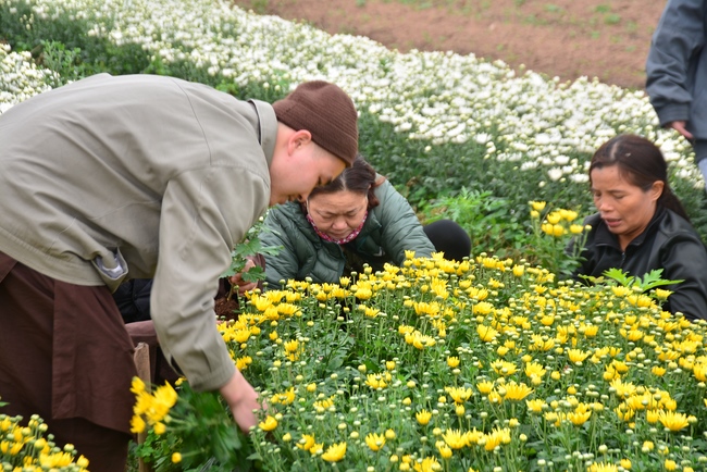 Welcoming the spring at Tay Khanh pagoda, Thai Binh