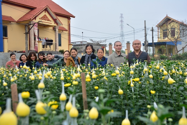 Welcoming the spring at Tay Khanh pagoda, Thai Binh
