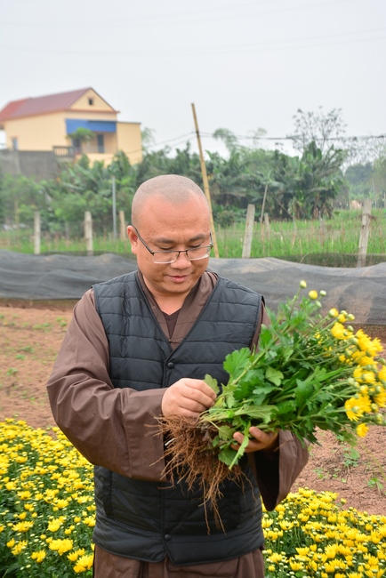 Welcoming the spring at Tay Khanh pagoda, Thai Binh