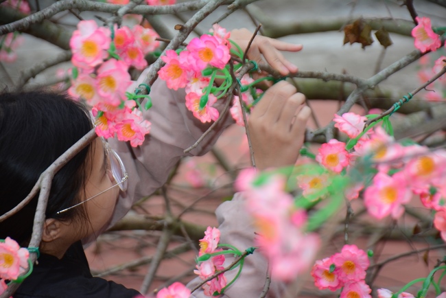 Welcoming the spring at Tay Khanh pagoda, Thai Binh