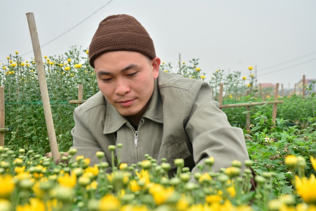 Welcoming the spring at Tay Khanh pagoda, Thai Binh