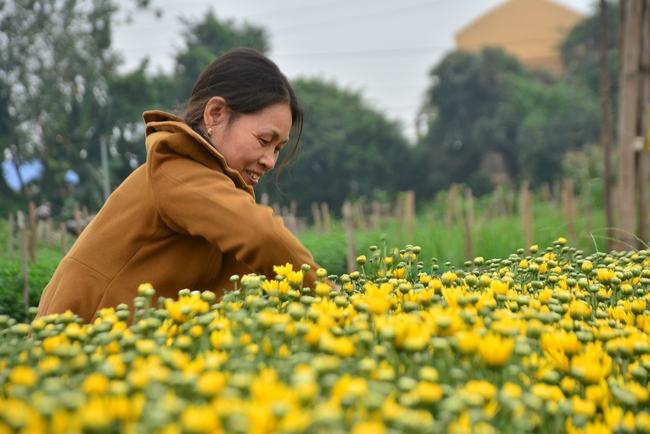 Welcoming the spring at Tay Khanh pagoda, Thai Binh