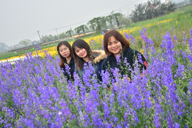Welcoming the spring at Tay Khanh pagoda, Thai Binh
