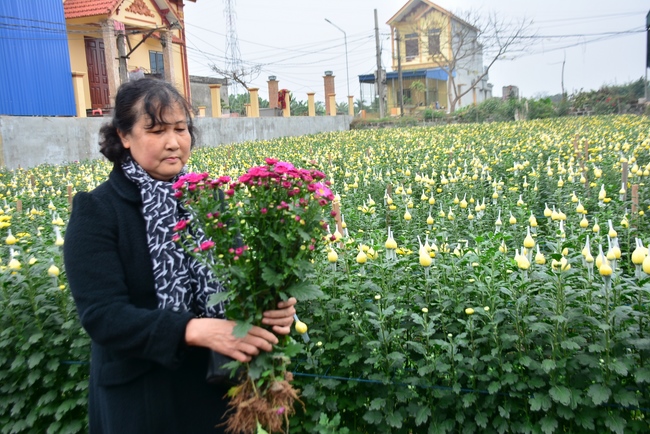 Welcoming the spring at Tay Khanh pagoda, Thai Binh