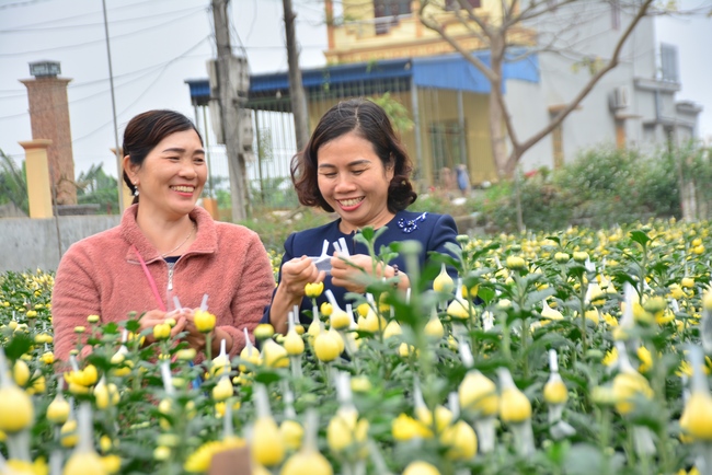 Welcoming the spring at Tay Khanh pagoda, Thai Binh