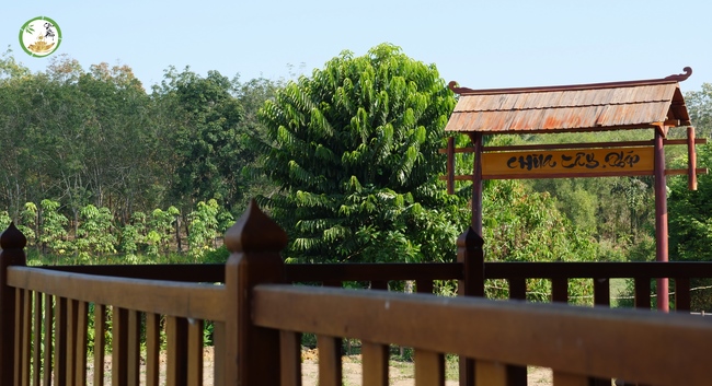 Đón xuân tại chùa Tây Pháp, Tây Ninh