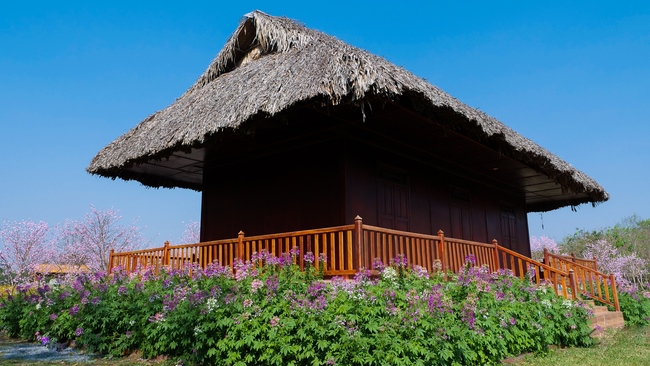 Đón xuân tại chùa Tây Pháp, Tây Ninh