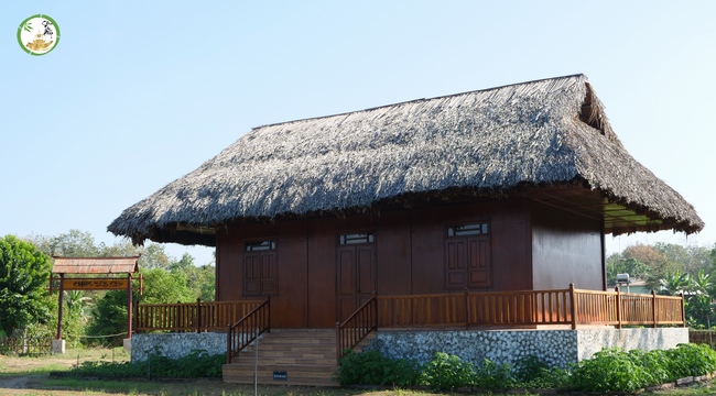 Đón xuân tại chùa Tây Pháp, Tây Ninh