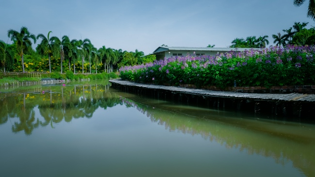 Đón xuân tại chùa Tây Pháp, Tây Ninh