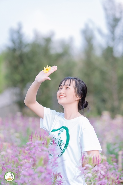 Đón xuân tại chùa Tây Pháp, Tây Ninh