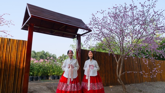 Đón xuân tại chùa Tây Pháp, Tây Ninh