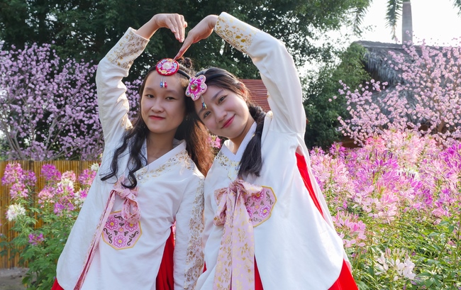 Đón xuân tại chùa Tây Pháp, Tây Ninh