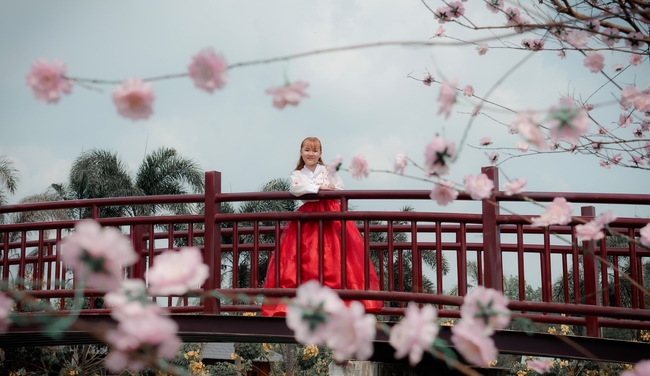 Đón xuân tại chùa Tây Pháp, Tây Ninh