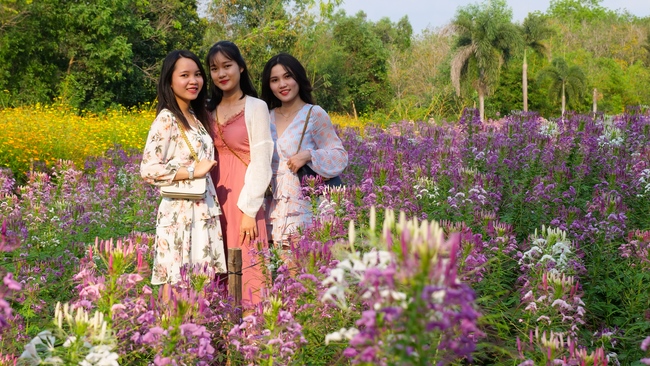 Đón xuân tại chùa Tây Pháp, Tây Ninh