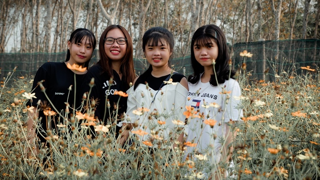 Đón xuân tại chùa Tây Pháp, Tây Ninh