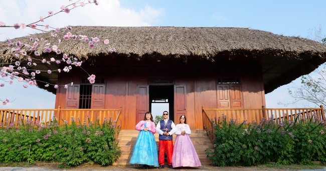 Đón xuân tại chùa Tây Pháp, Tây Ninh