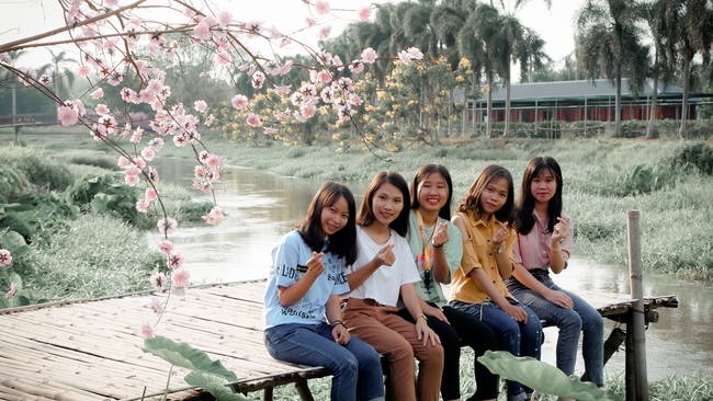 Đón xuân tại chùa Tây Pháp, Tây Ninh