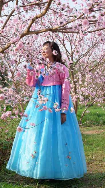 Đón xuân tại chùa Tây Pháp, Tây Ninh